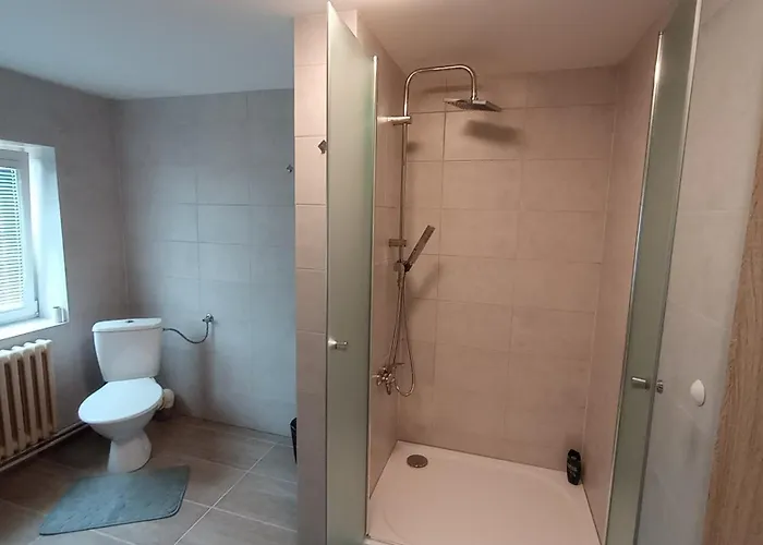 Апартаменты Apartman Melnik 330 Podoli (Brno-Country)